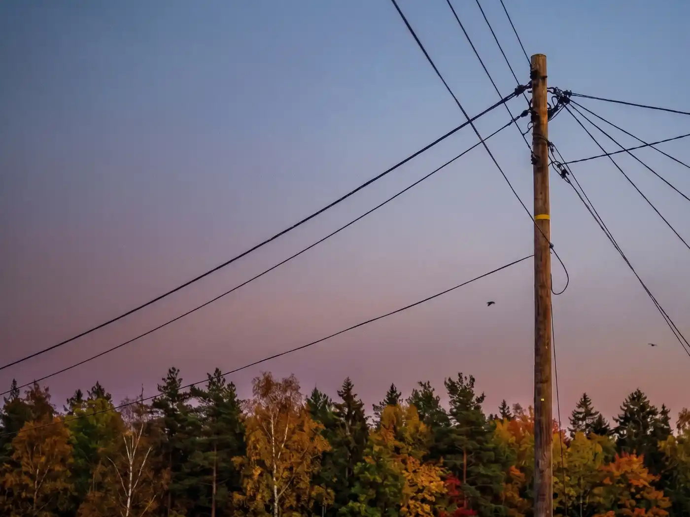 Bild på kopparnätet med telefonstolpe och telefonledningar